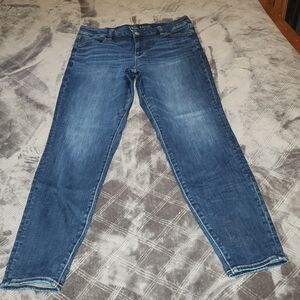 American Eagle Outfitters Dark Blue Skinny Jeans